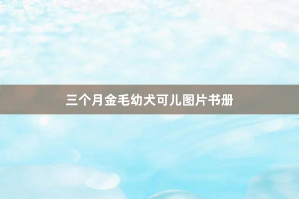 三个月金毛幼犬可儿图片书册